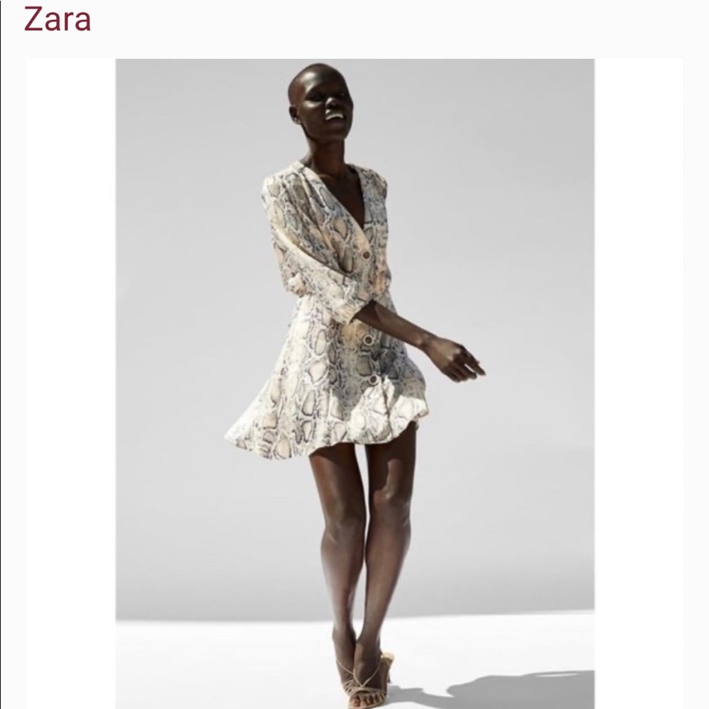 Zara Snakeskin Print Minidress